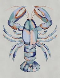 Aquarell Blauer Hummer