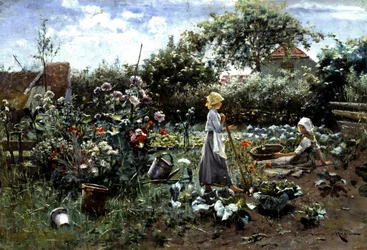 Im Gemüsegarten
