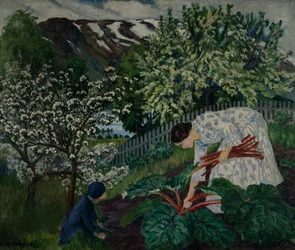 Rhabarber