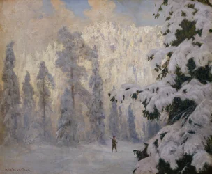 Jäger beim Skifahren in Winterlandschaft
