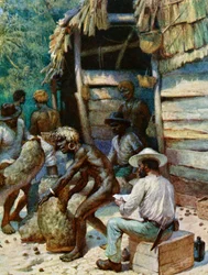 Ein Händler von einer Südseeinsel und seine Säcke mit Elfenbeinnüssen, 1908