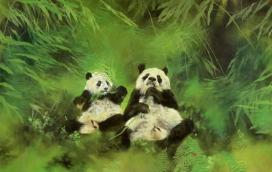 Pandas