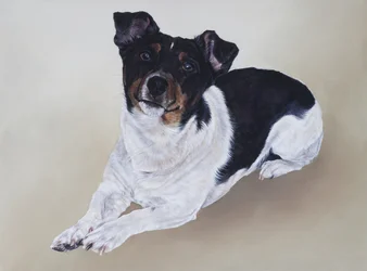 Spike, 2012