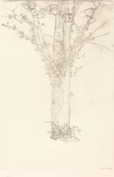 Arbre (Baum)