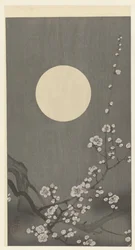 Blühende Pflaumenblüte bei Vollmond