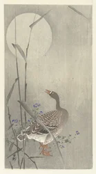 Gans bei Vollmond