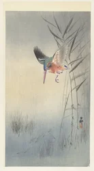 Eisvogel auf Fischfang