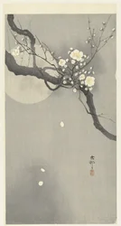 Pflaumenblüte und Vollmond