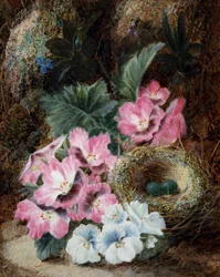 Stillleben mit Vogelnest und Veilchen
