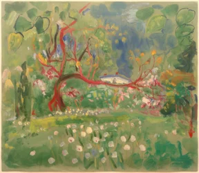 Frühling im Riesengebirge