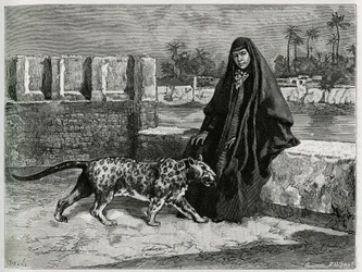 Torkan Khanoum, Favoritin von Scheich Moses, mächtiger Stammesführer von Arabistan mit seiner Panther. Gravur von Tofani, zur Illustration der Geschichte „Persien, Chaldäa und Susiane“