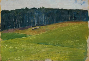 Hellgrüne Wiese gegen dunkle Waldlisière