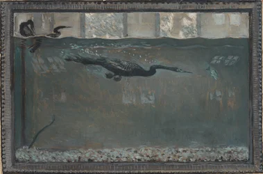 Tauchender Kormoran