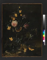 Blumen, Insekten und Reptilien, 1673