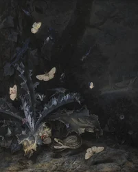 Stillleben mit Distel und Schlange