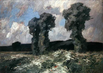 Weidenbäume im Lahntal