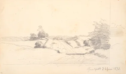 Ein Feldweg mit etwas Gebüsch im Vordergrund. Im Hintergrund ein Waldrand