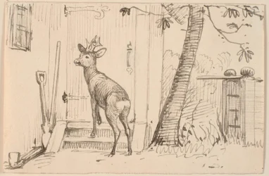 Der Hirsch vor der Tür