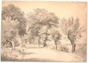 Die Landstraße bei dem Gutshof Vognserup