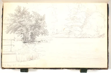 Waldpartie an einem See