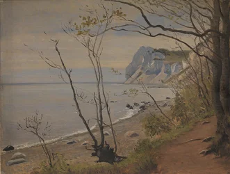 Die Klippen der Insel Møn