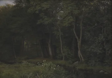 Dämmerung in einem Wald nahe dem Gut Iselingen, Seeland