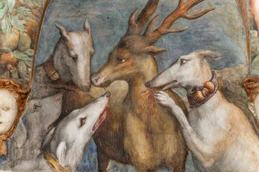 Aktaion, in einen Hirsch verwandelt, wird von seinen eigenen Hunden gefressen, aus dem Raum der Diana und des Aktaion, Nordwand, Detail von 2384753