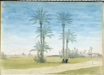 Ägypten: Pyramiden von Gizeh