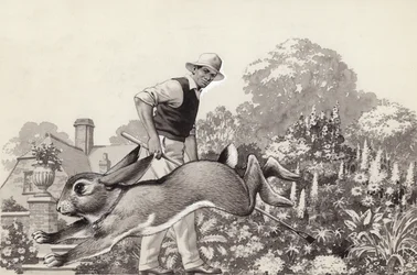 Ein Kaninchen läuft mit einem Katzenhalsband im Garten herum