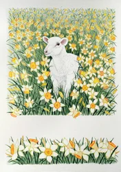 Ein federnder Schritt