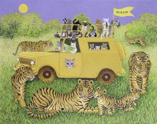 Katzen-Safari