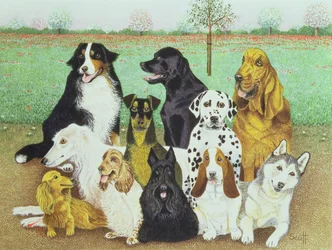 Hundewache