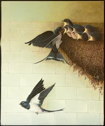 Hungrige Münder, 2011