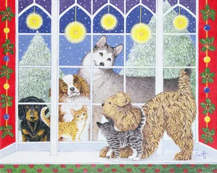 Mach mit bei der Party