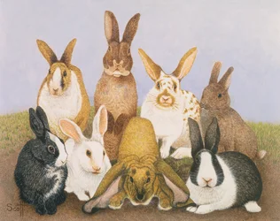 Glückliche Kaninchen