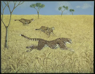 Reine Geschwindigkeit