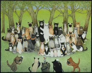 Vögelchen beobachten