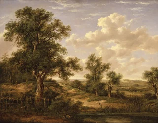 Heideland bei Godstone