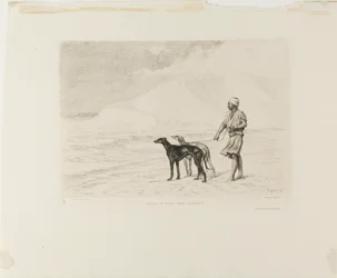 Staffel von Hunden in der Wüste