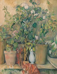 Terrakotta-Töpfe und Blumen