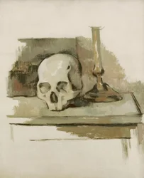 Schädel