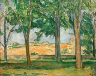 Die Kastanienbäume von Jas de Bouffan