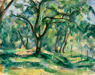 Der Wald