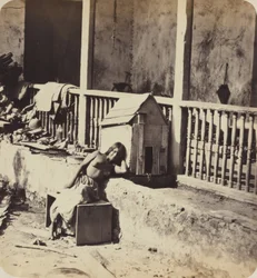 Chien de Garvel (Martinique), 1870er Jahre (Foto)