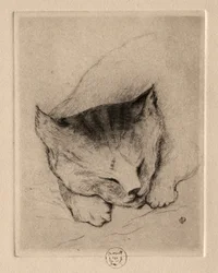 Sechs Radierungen: Kopf eines Kätzchens, 1895