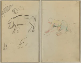 Ein Schwein; bretonischer Bauer kniend (verso)