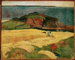 Die Ernte am Meer: Le Pouldu