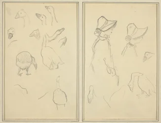 Gänse; Mädchen mit Hauben, Gänse (recto)
