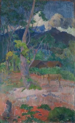 Landschaft mit einem Pferd
