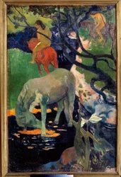 Das weiße Pferd